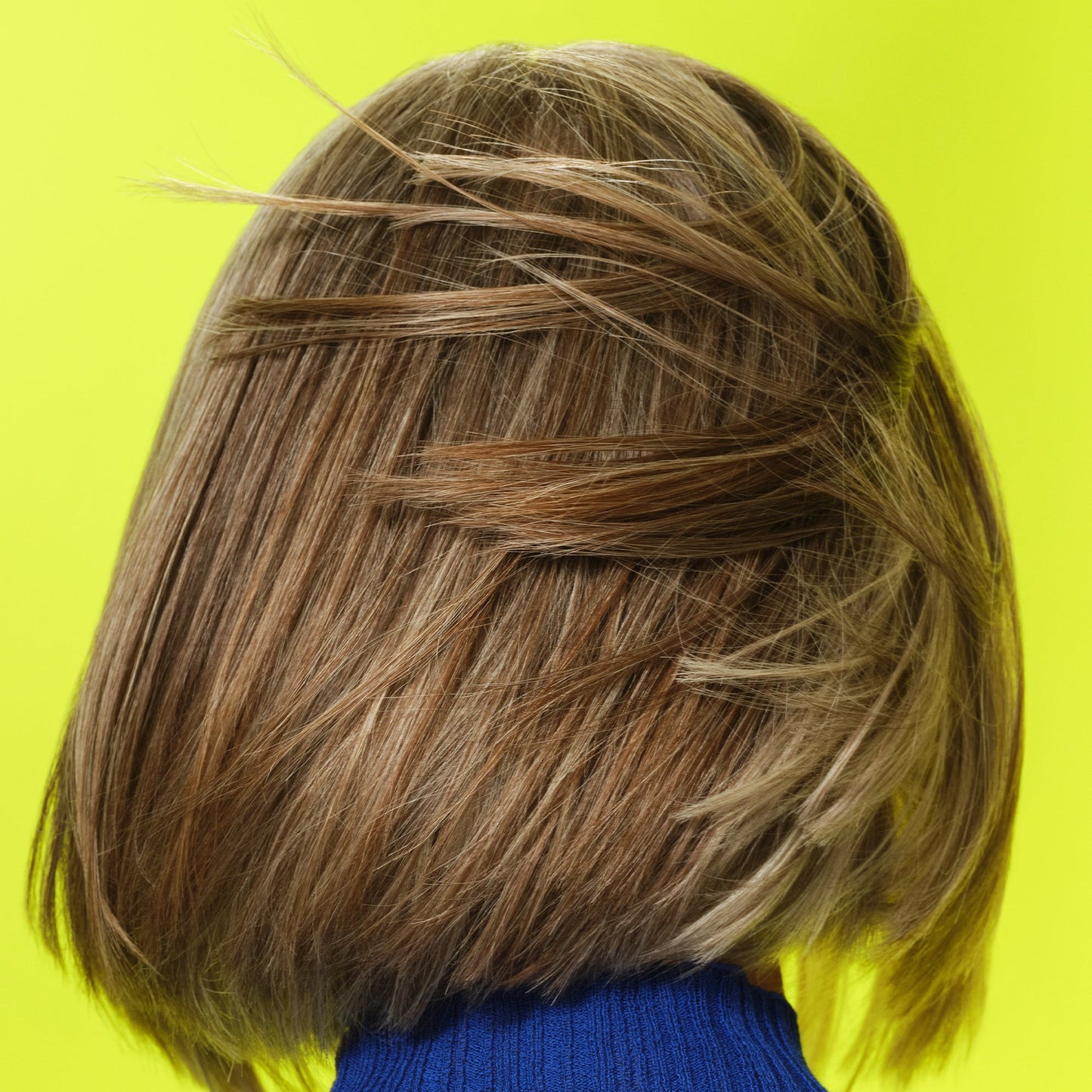 frizz-to-rizz-trio-j0 111725_Vicky_HumidityAntifrizz-Editorial_0538_w2QC_IGF_1x1_05a09617-4ccf-44a2-8545-199321a503e1.jpg