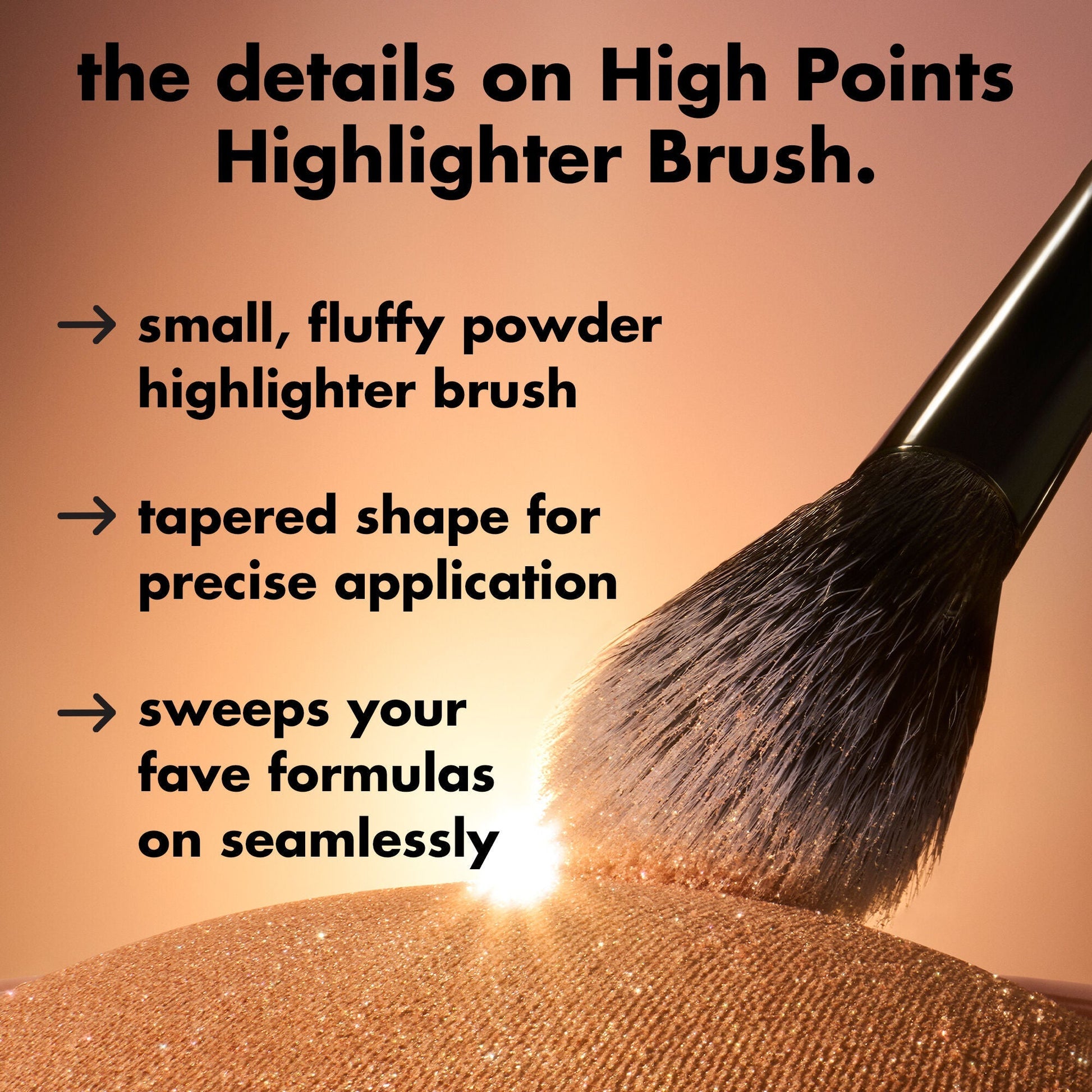 high-points-highlighter-brush-y3 0226_EDU_HighpointsHighlighterBrush_Details.jpg