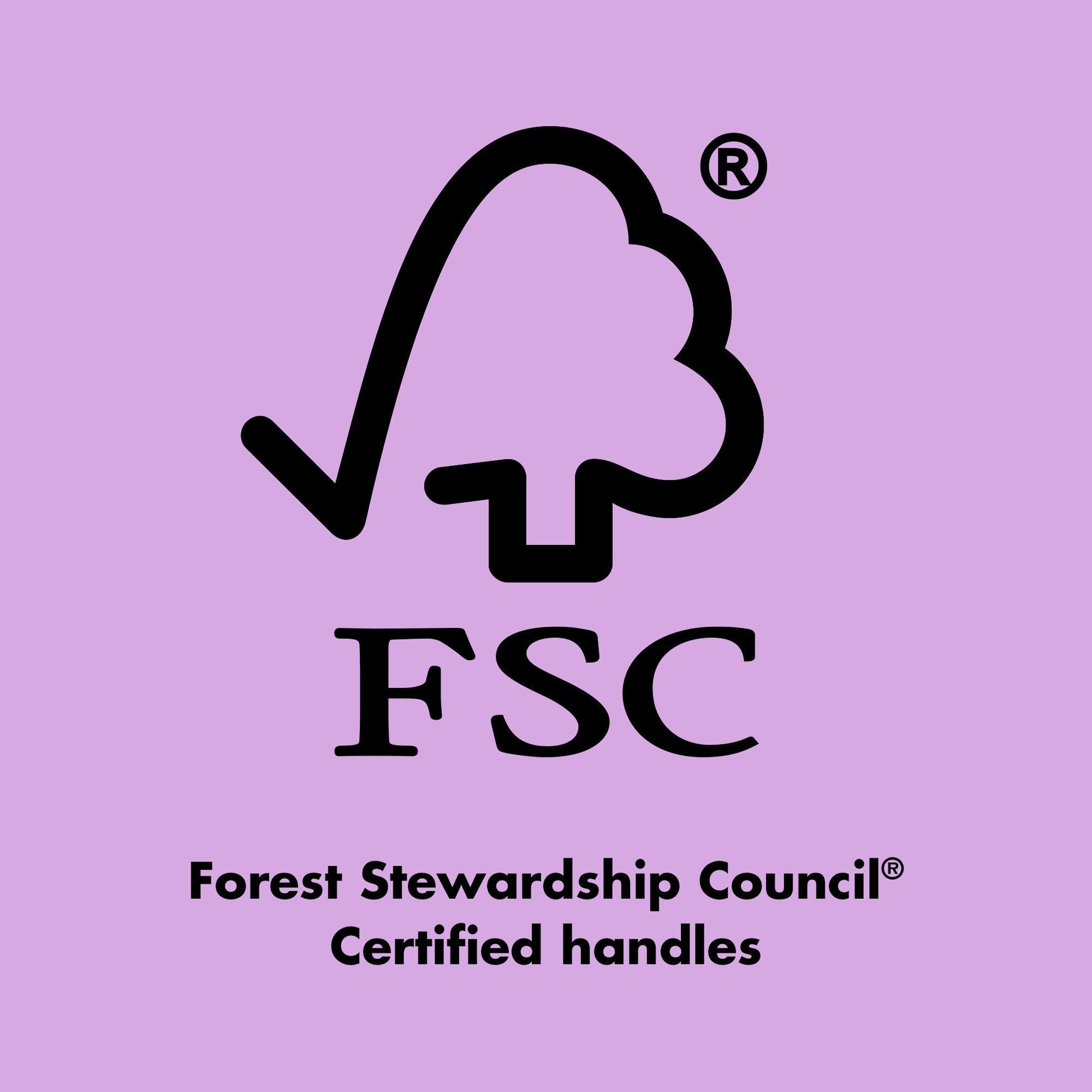 ten-out-of-ten-brush-kit-p1 0423_EDUCATION_FSC_EVERGREEN.jpg
