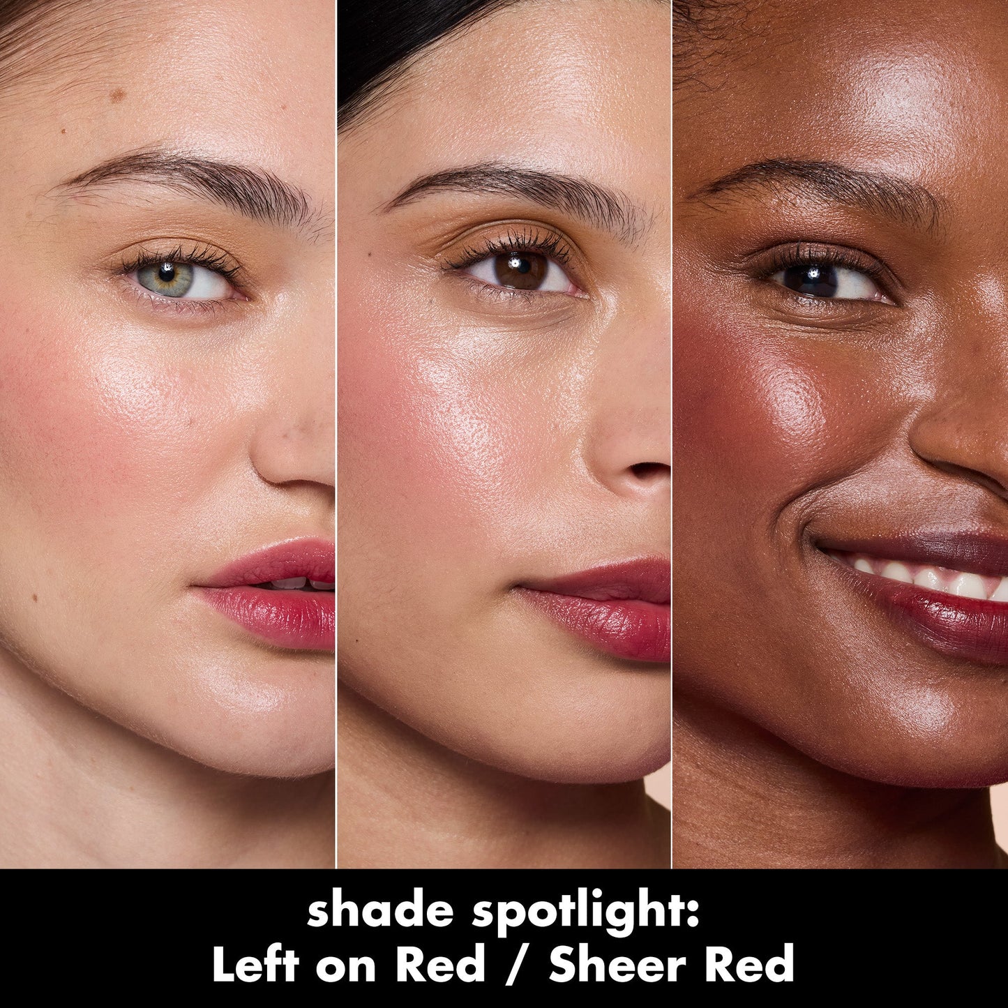 sheer-for-it-blush-tint-c4 0526_SEO_SheerForIt_ShadeSpotlight_LeftOnRed.jpg
