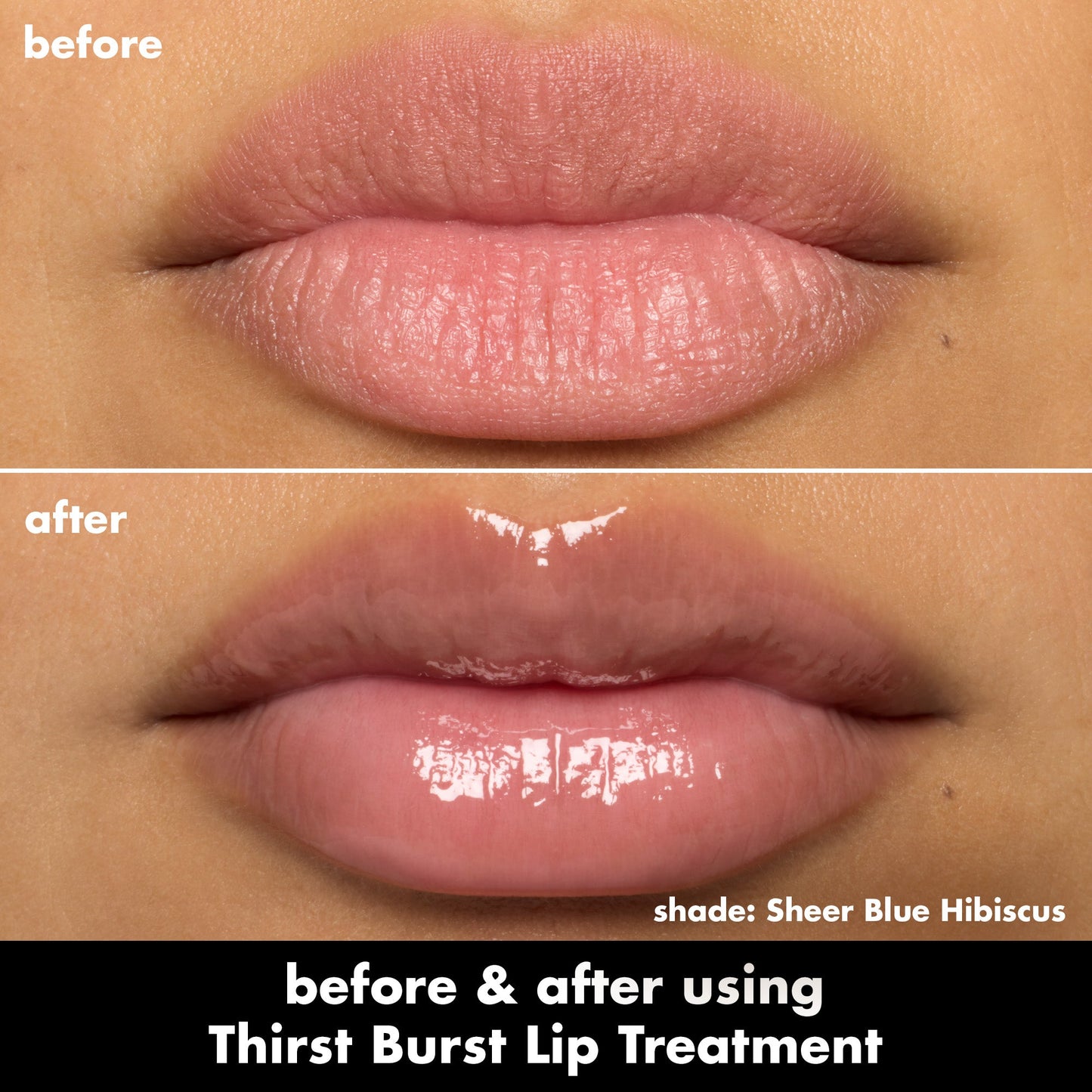 thirst-burst-lip-treatment-i8 0526_SEO_ThirstBurstLipTreatment_BA_SheerBlueHibiscus.jpg